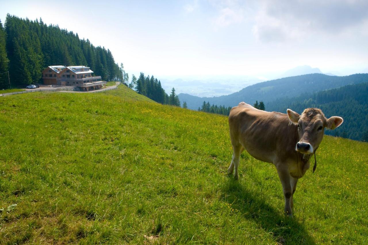 Boecklodges Nesselwang Exteriér fotografie